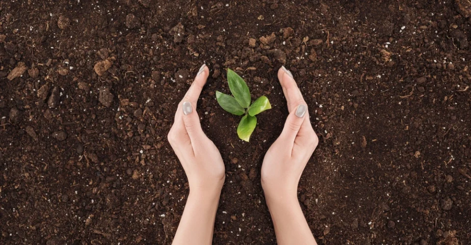 fgf impact environnemental