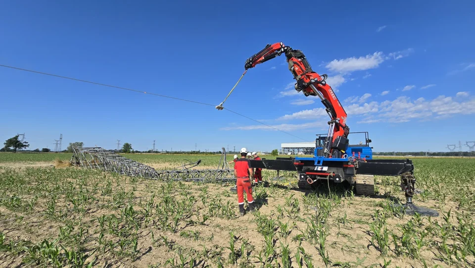 fgf secteur agriculture